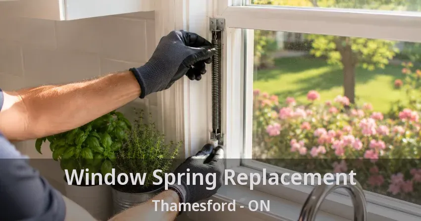 Window Spring Replacement Thamesford - ON
